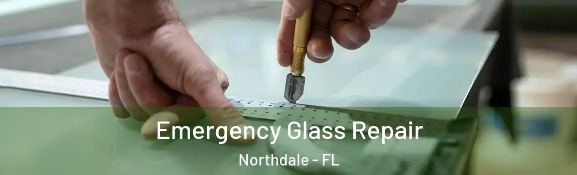  Emergency Glass Repair Northdale - FL