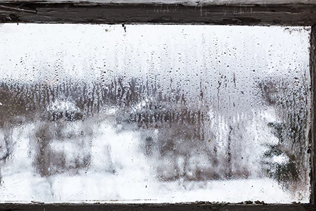 Defogging Double Pane Windows in Northdale, FL