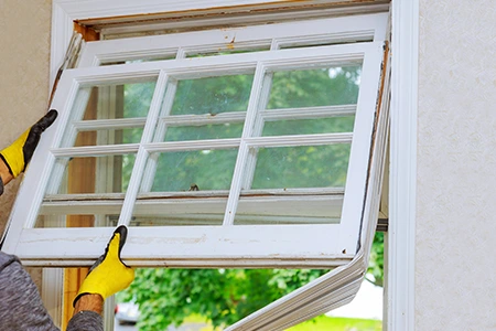 Window Replacement in Northdale, FL
